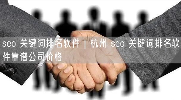 seo 关键词排名软件｜杭州 seo 关键词排名软件靠谱公司价格
