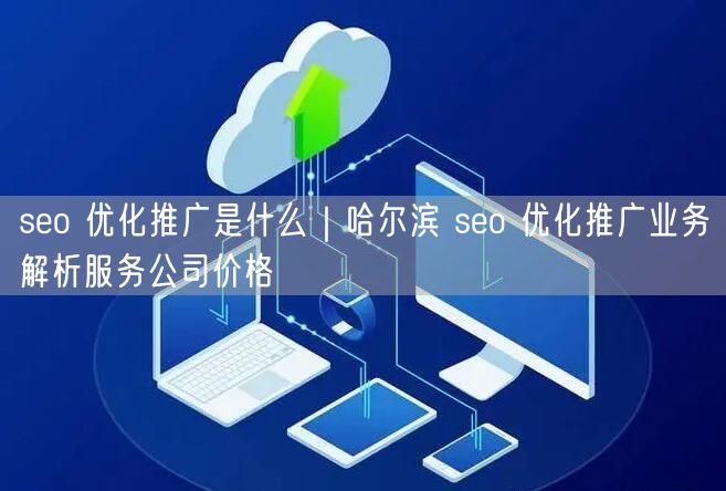 seo 优化推广是什么｜哈尔滨 seo 优化推广业务解析服务公司价格