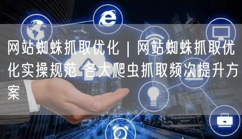 网站蜘蛛抓取优化|网站蜘蛛抓取优化实操规范 各大爬虫抓取频次提升方案