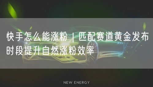 快手怎么能涨粉｜匹配赛道黄金发布时段提升自然涨粉效率