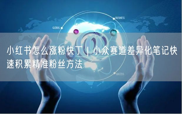 小红书怎么涨粉快丁｜小众赛道差异化笔记快速积累精准粉丝方法