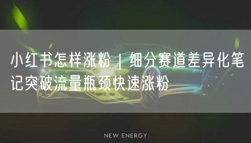 小红书怎样涨粉｜细分赛道差异化笔记突破流量瓶颈快速涨粉
