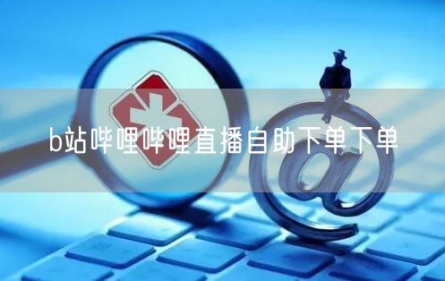 b站哔哩哔哩直播自助下单下单