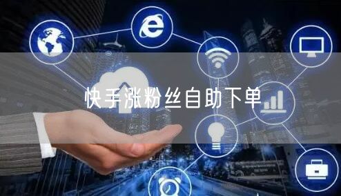 快手涨粉丝自助下单