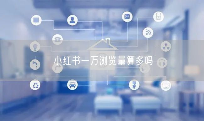 小红书一万浏览量算多吗