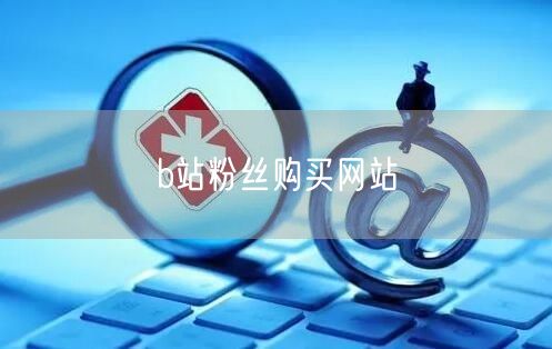 b站粉丝购买网站