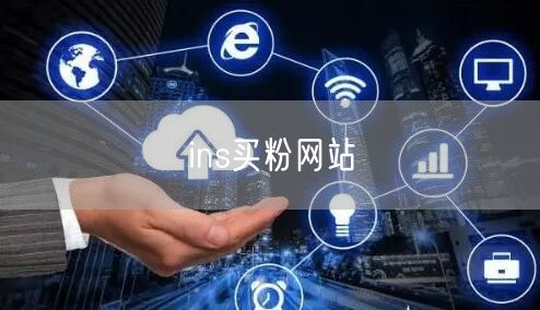 ins买粉网站