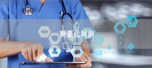 啊豪代网刷
