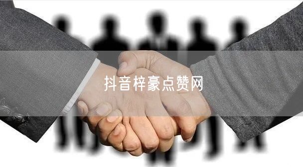 抖音梓豪点赞网