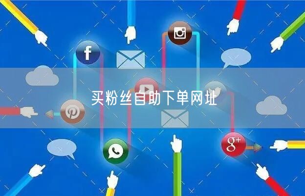 买粉丝自助下单网址