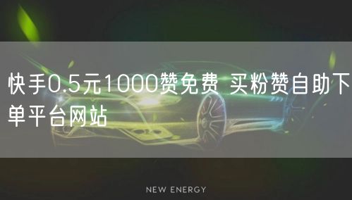 快手0.5元1000赞免费 买粉赞自助下单平台网站