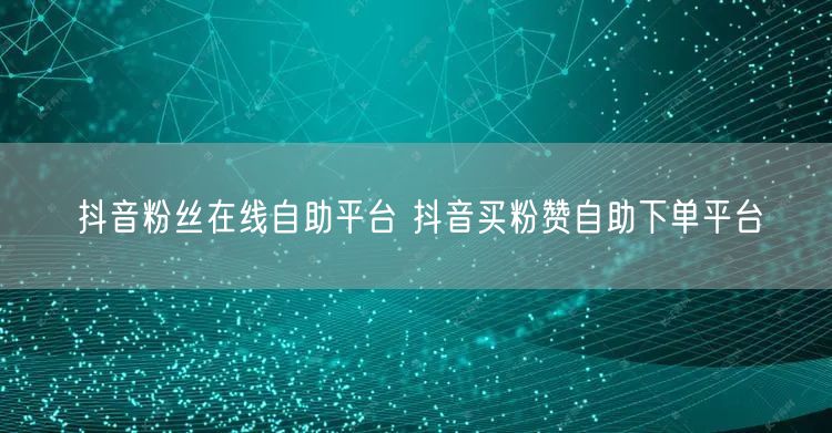 抖音粉丝在线自助平台 抖音买粉赞自助下单平台