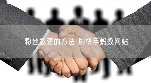 粉丝裂变的方法 刷快手蚂蚁网站