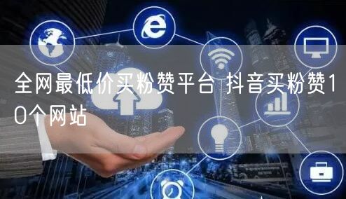 全网最低价买粉赞平台 抖音买粉赞10个网站