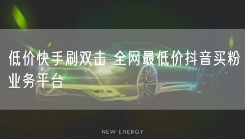 低价快手刷双击 全网最低价抖音买粉业务平台