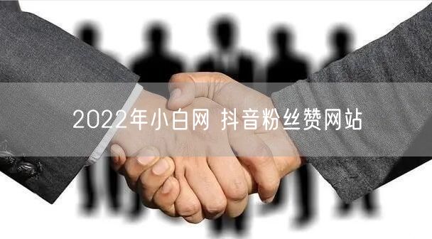 2022年小白网 抖音粉丝赞网站
