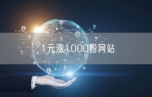 1元涨1000粉网站