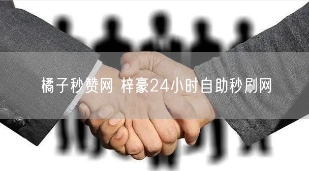 橘子秒赞网 梓豪24小时自助秒刷网