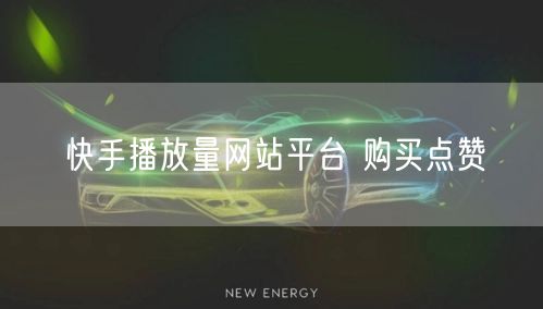 快手播放量网站平台 购买点赞