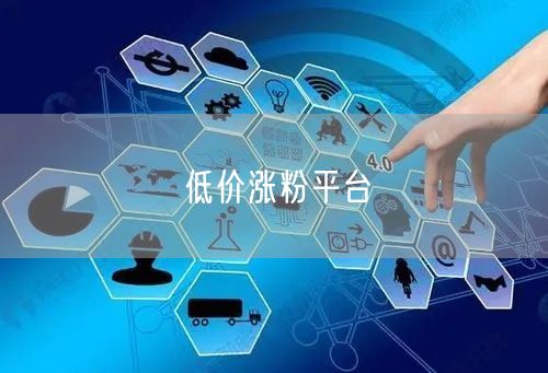 低价涨粉平台