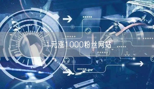 1元涨1000粉丝网站