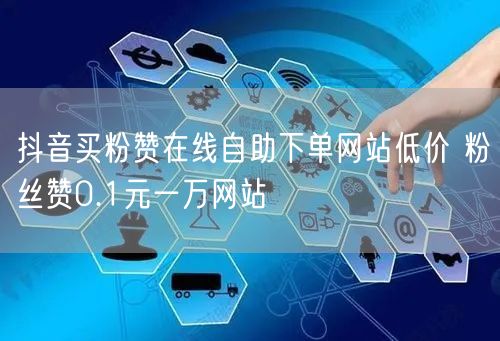 抖音买粉赞在线自助下单网站低价 粉丝赞0.1元一万网站