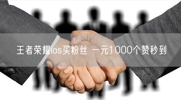 王者荣耀ios买粉丝 一元1000个赞秒到