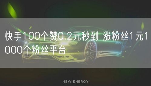 快手100个赞0.2元秒到 涨粉丝1元1000个粉丝平台