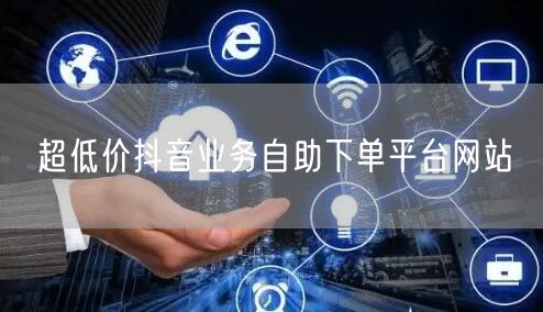 超低价抖音业务自助下单平台网站