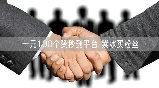 一元100个赞秒到平台 紫冰买粉丝