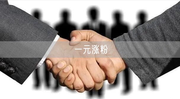 一元涨粉
