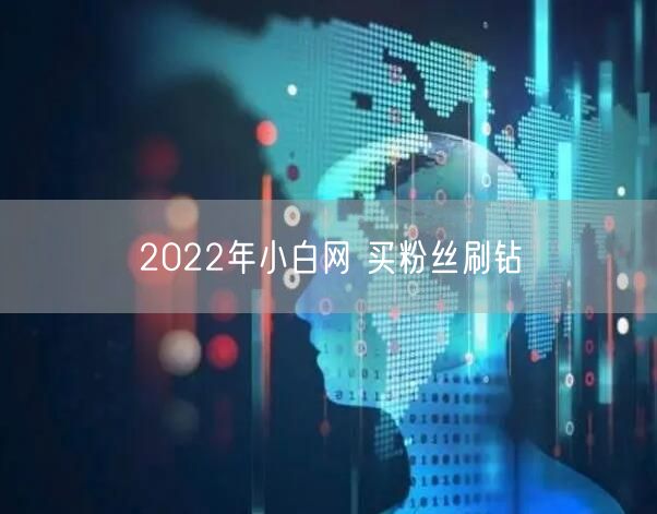 2022年小白网 买粉丝刷钻