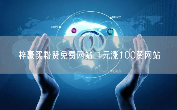 梓豪买粉赞免费网站 1元涨100赞网站