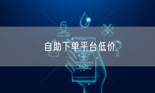 自助下单平台低价