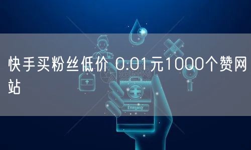 快手买粉丝低价 0.01元1000个赞网站