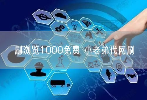 刷浏览1000免费 小老弟代网刷