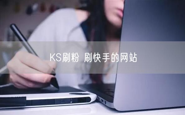 KS刷粉 刷快手的网站