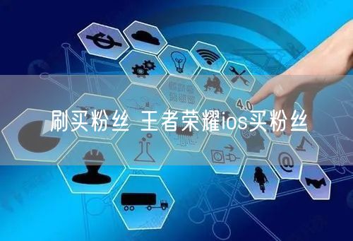 刷买粉丝 王者荣耀ios买粉丝
