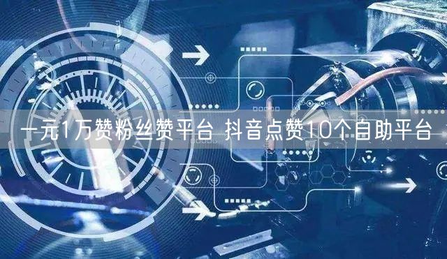 一元1万赞粉丝赞平台 抖音点赞10个自助平台
