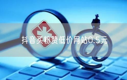 抖音买粉赞低价网站0.5元