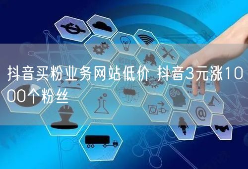 抖音买粉业务网站低价 抖音3元涨1000个粉丝