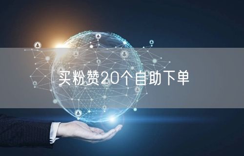买粉赞20个自助下单