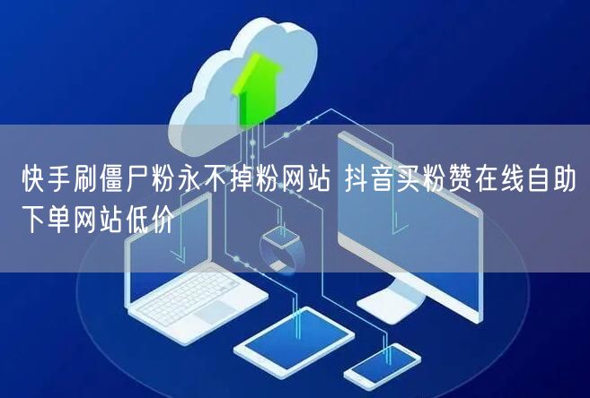 快手刷僵尸粉永不掉粉网站 抖音买粉赞在线自助下单网站低价