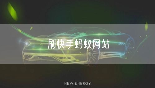 刷快手蚂蚁网站