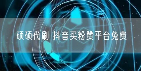 硕硕代刷 抖音买粉赞平台免费