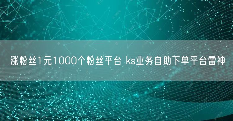 涨粉丝1元1000个粉丝平台 ks业务自助下单平台雷神