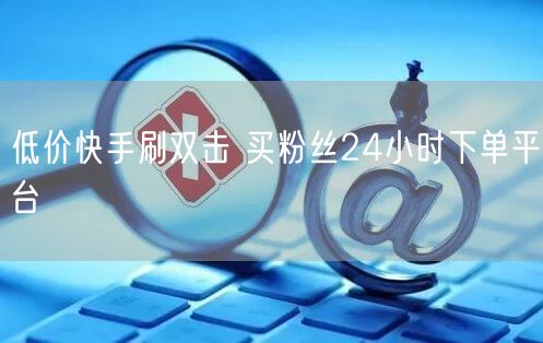 低价快手刷双击 买粉丝24小时下单平台