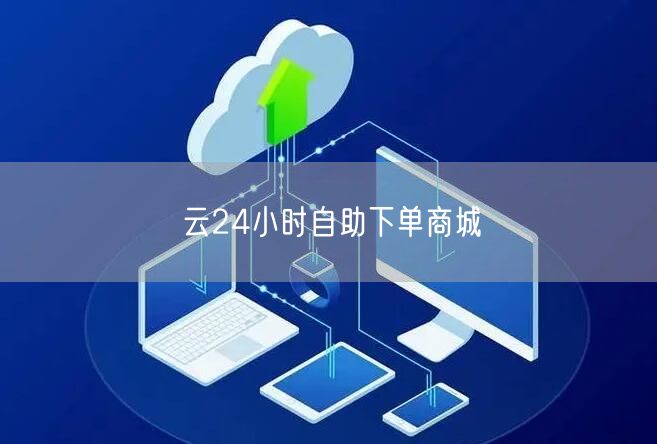 云24小时自助下单商城
