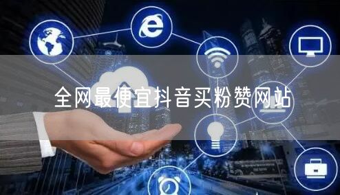 全网最便宜抖音买粉赞网站