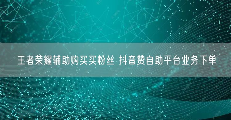 王者荣耀辅助购买买粉丝 抖音赞自助平台业务下单